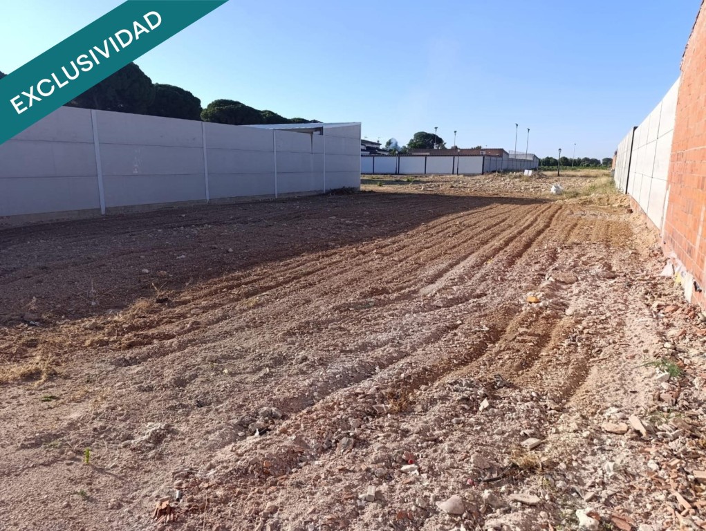 Imagen 3 de “Tu proyecto empieza aquí: parcela urbana en pleno Arenales.”