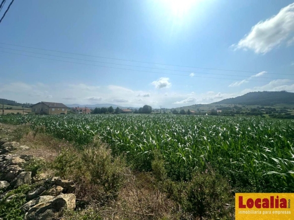 Imagen 2 de Suelo urbano para inversores