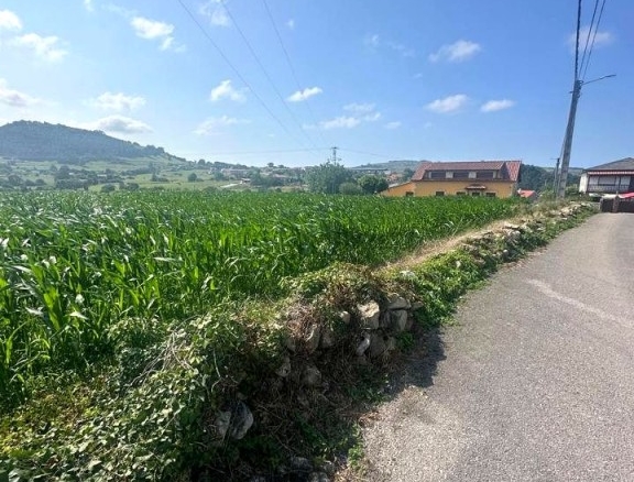 Imagen 1 de Suelo urbano para inversores