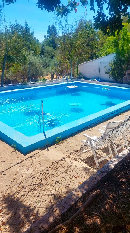 Imagen 4 de Suelo rústico en Venta en Constantina Sevilla
