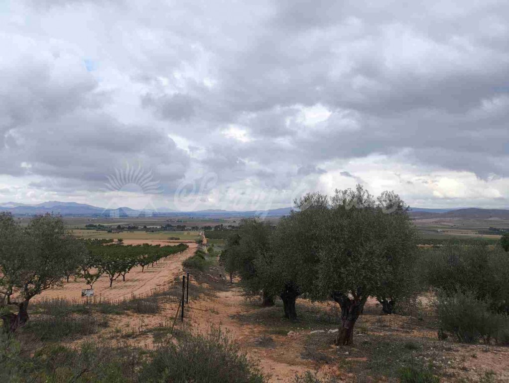 Imagen 2 de Suelo urbanizable en Venta en Yecla Murcia