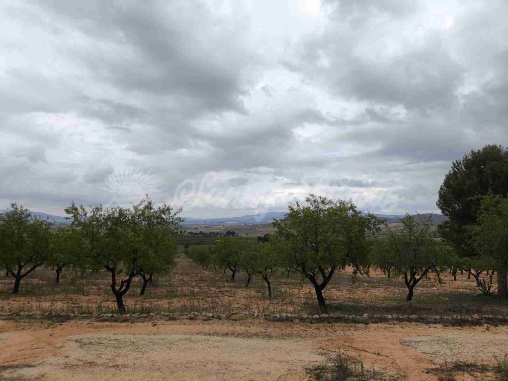 Imagen 1 de Suelo urbanizable en Venta en Yecla Murcia