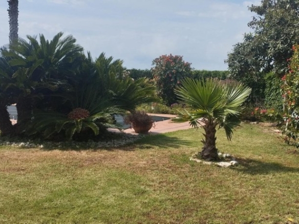 Imagen 2 de Chalet con piscina