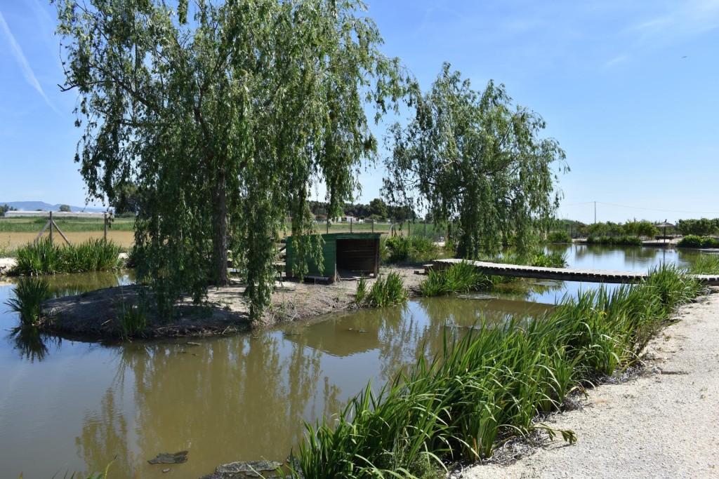 Imagen 1 de Finca rustica en el Parque natural del Delta del Ebro!