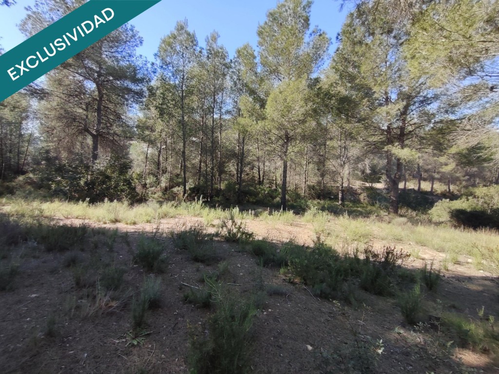 Imagen 3 de parcela rustica en Alfara de la baronia