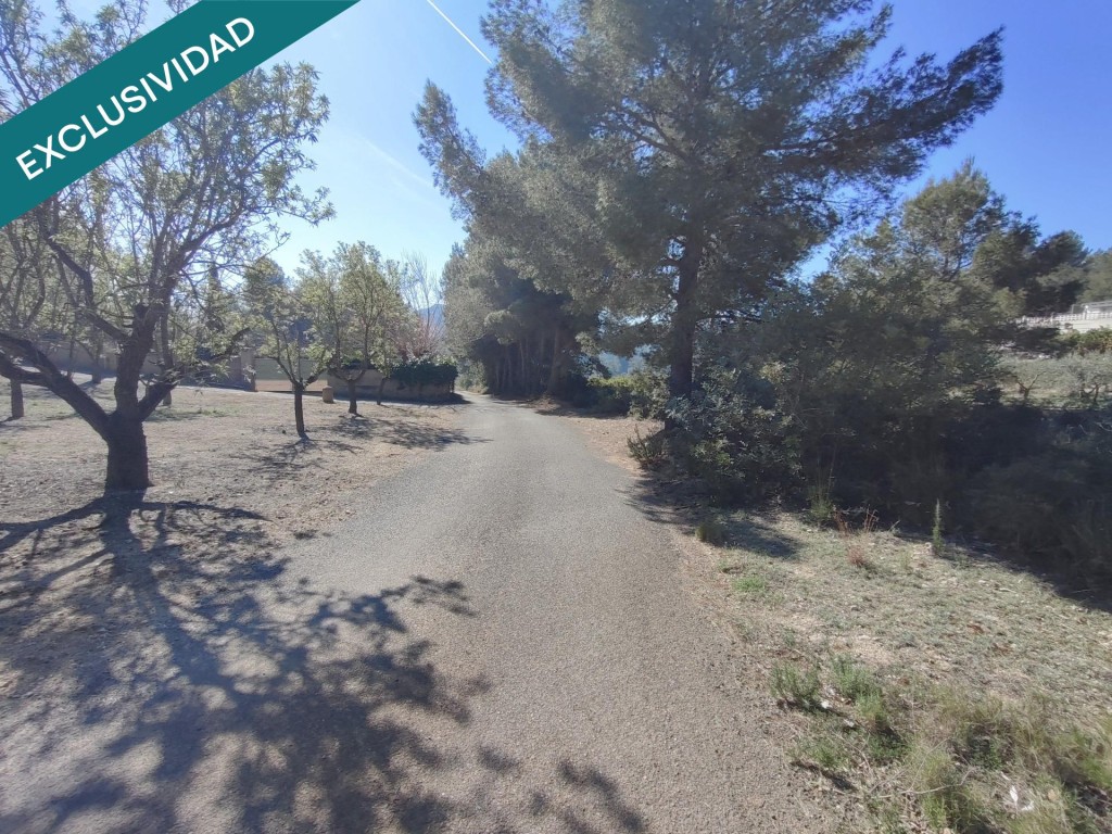 Imagen 4 de parcela rustica en Alfara de la baronia