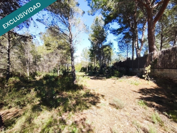 Imagen 1 de parcela rustica en Alfara de la baronia