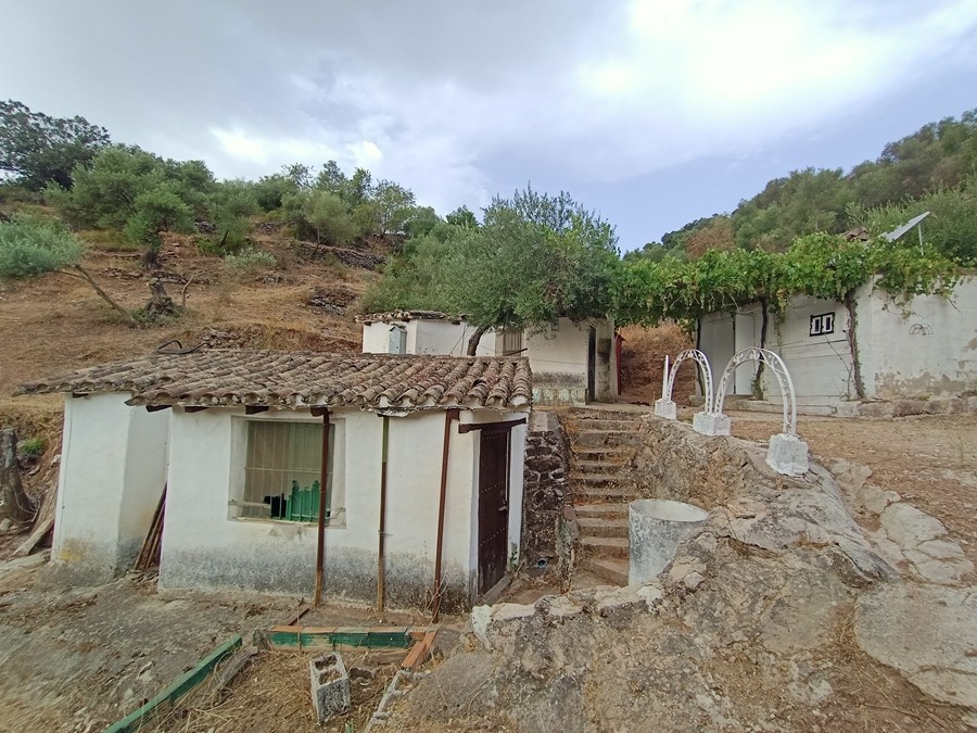 Imagen 2 de Casa de campo-Masía en Venta en Cortes De La Frontera Málaga