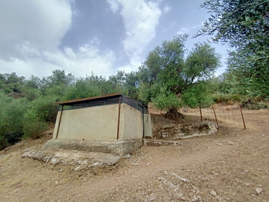 Imagen 4 de Casa de campo-Masía en Venta en Cortes De La Frontera Málaga