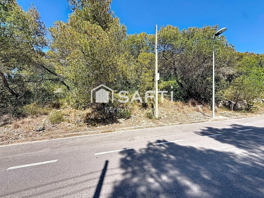 Imagen 3 de Tu proyecto junto al mar empieza aquí