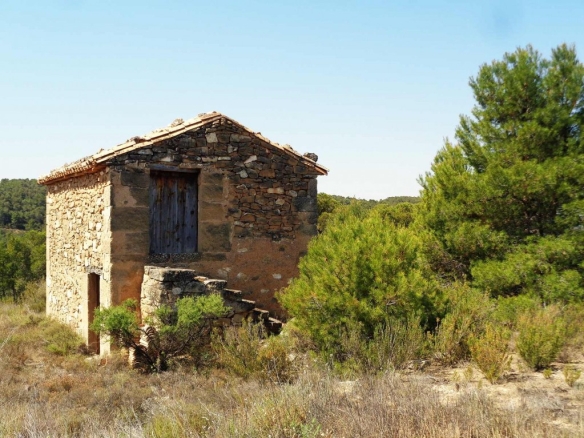 Imagen 1 de Suelo rústico en Venta en Maella Zaragoza