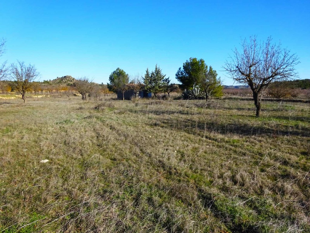 Imagen 2 de Suelo rústico en Venta en Maella Zaragoza
