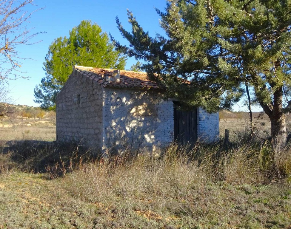 Imagen 1 de Suelo rústico en Venta en Maella Zaragoza