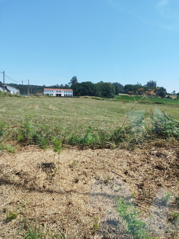 Imagen 4 de Parcela urbana en venta en Trazo