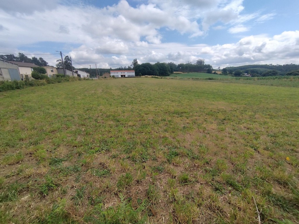 Imagen 3 de Parcela urbana en venta en Trazo