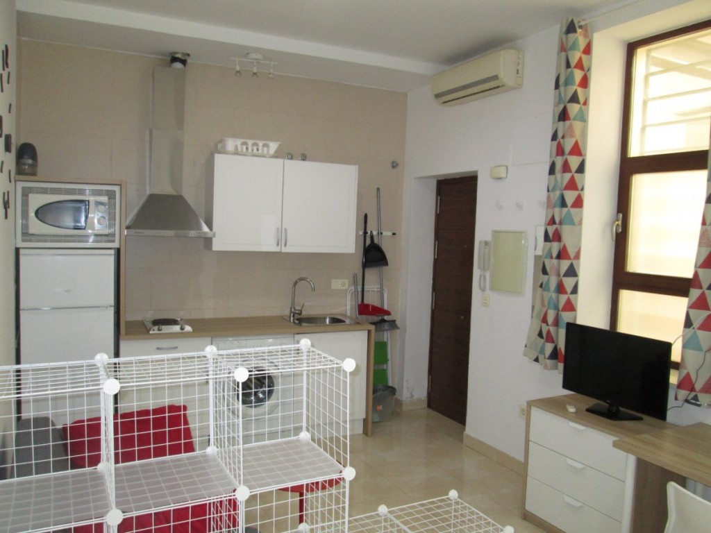 Imagen 2 de Estudio en Alquiler en Sevilla Sevilla
