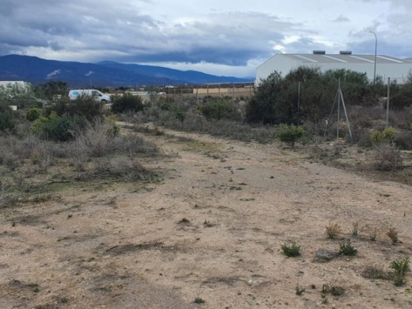 Imagen 3 de Casa de campo-Masía en Alquiler en Cantoria Almería