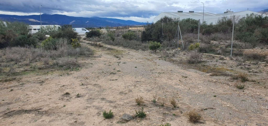 Imagen 4 de Casa de campo-Masía en Alquiler en Cantoria Almería