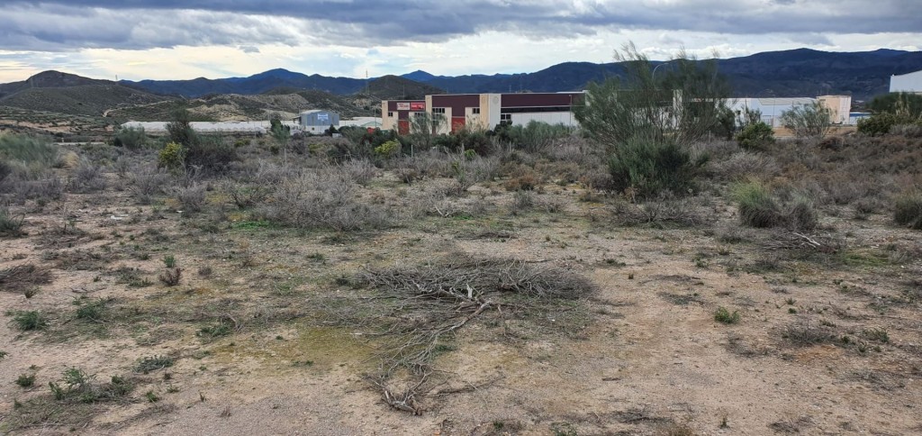 Imagen 1 de Casa de campo-Masía en Alquiler en Cantoria Almería