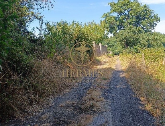 Imagen 3 de Se vende finca rustica a 1 km de Tui
