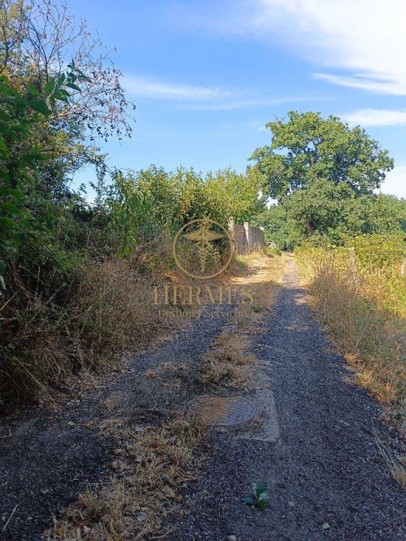 Imagen 3 de Se vende finca rustica a 1 km de Tui