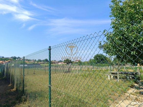 Imagen 4 de Se vende finca rustica a 1 km de Tui