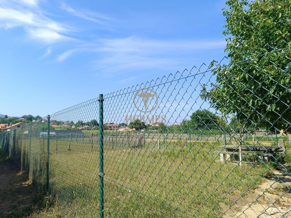 Imagen 4 de Se vende finca rustica a 1 km de Tui