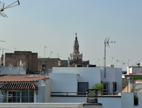 Imagen 1 de Estudio completamente reformado en el corazón de Sevilla!!!