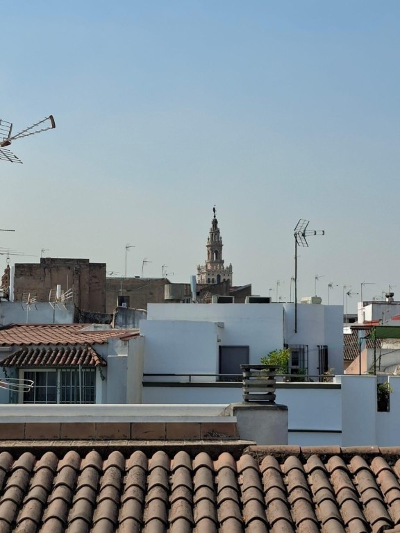 Imagen 1 de Estudio completamente reformado en el corazón de Sevilla!!!