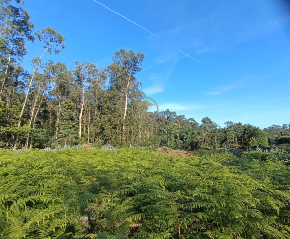 de 3200 m2