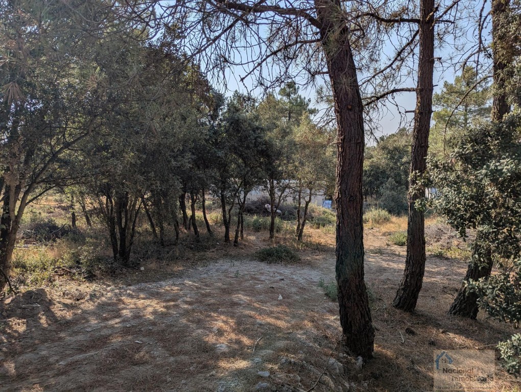 Imagen 2 de Casa-Chalet en Venta en Marugan Segovia