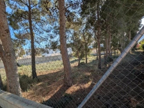 Imagen 4 de Parcela de 1600m² en Salinetas para chalet ideal