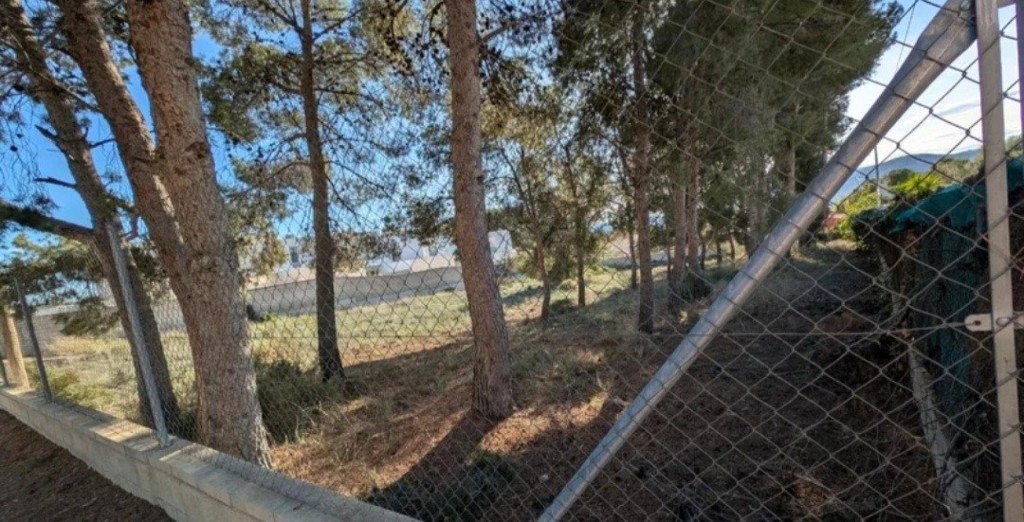 Imagen 4 de Parcela de 1600m² en Salinetas para chalet ideal
