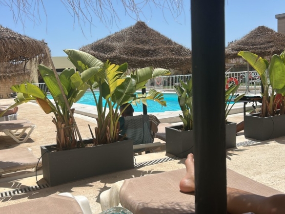 Imagen 4 de Apartamento en Venta en Torremolinos Málaga