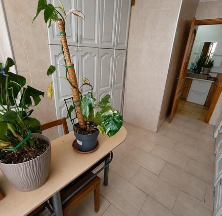 Imagen 2 de ¡VENTA DE TU NUEVO HOGAR EN EL CORAZÓN DE ESTEPONA!