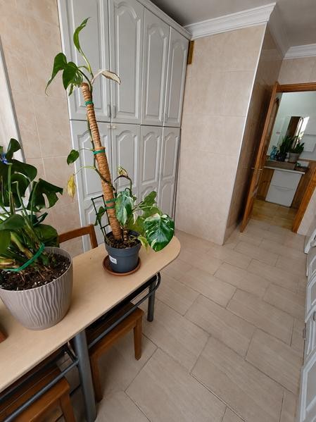 Imagen 2 de ¡VENTA DE TU NUEVO HOGAR EN EL CORAZÓN DE ESTEPONA!