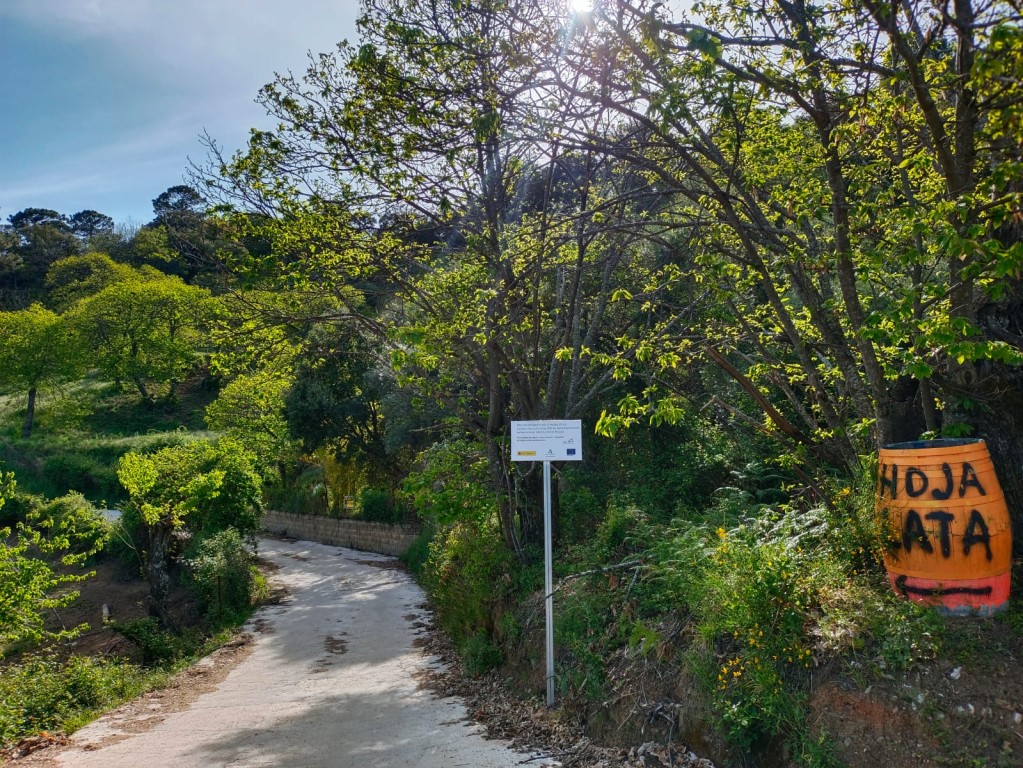 Valle del Genal)