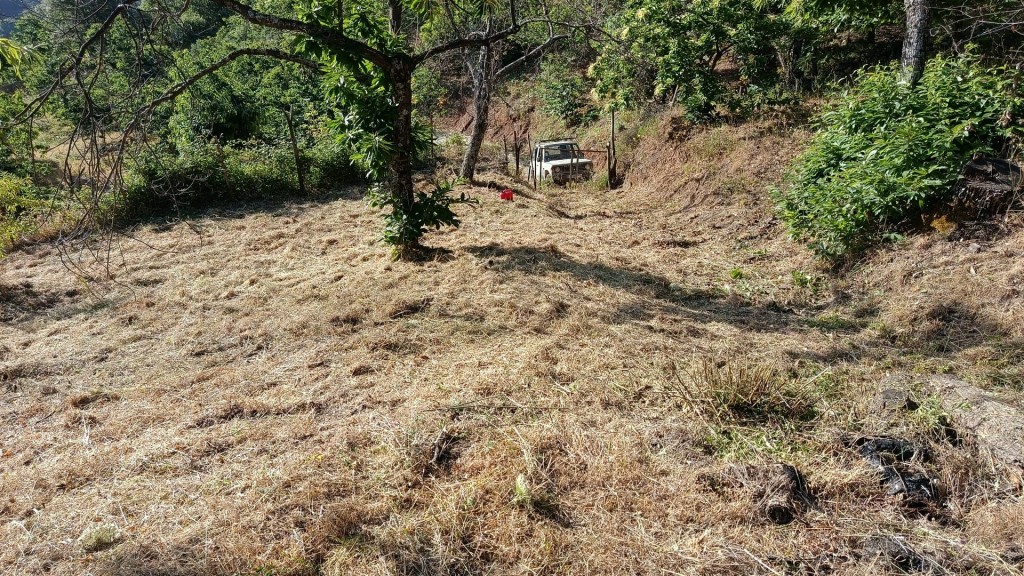 Valle del Genal)