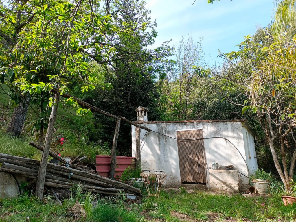Imagen 1 de Exclusiva Finca Rústica con Castaños en el Pueblo Azul (Júzcar