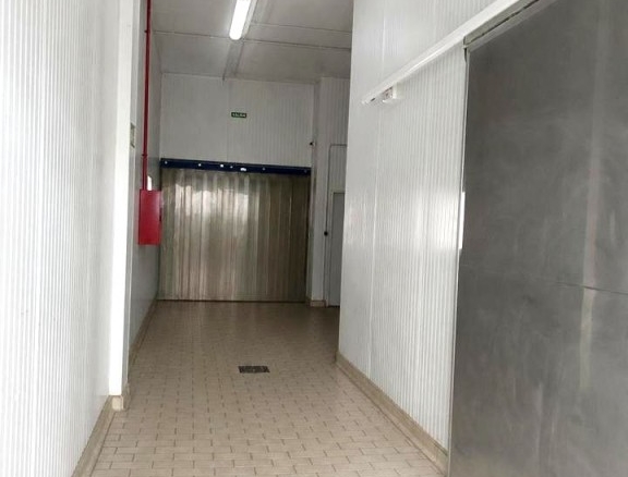 Imagen 3 de NAVE INDUSTRIAL CON INSTALACIONES FRIGORIFICAS CARTES