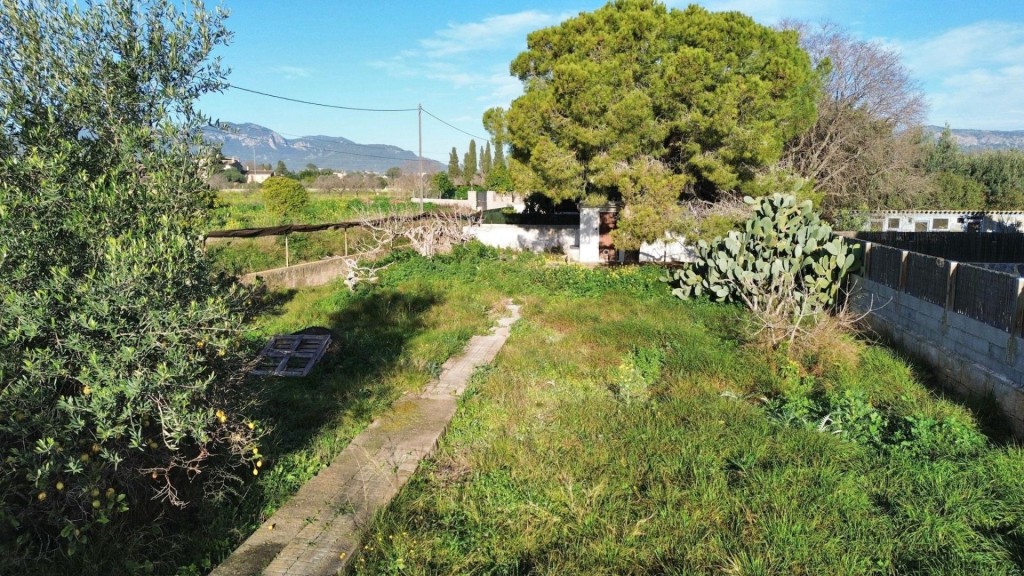 Imagen 3 de Son Sardina - Solar Urbano a la venta - Calle Rosa Canals - Palma