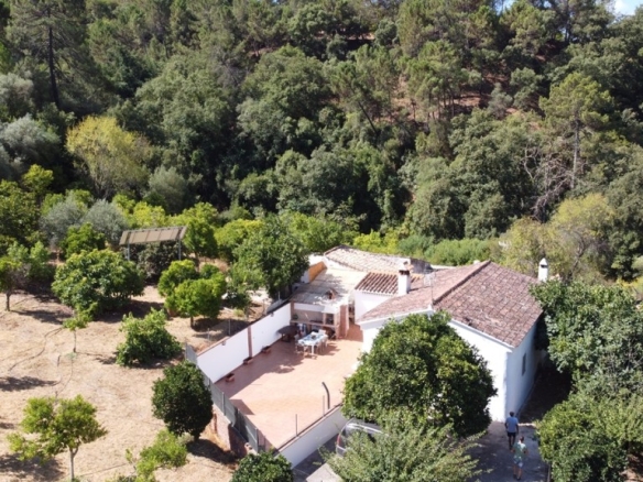 Imagen 2 de Casa de campo-Masía en Venta en Benastepal Málaga