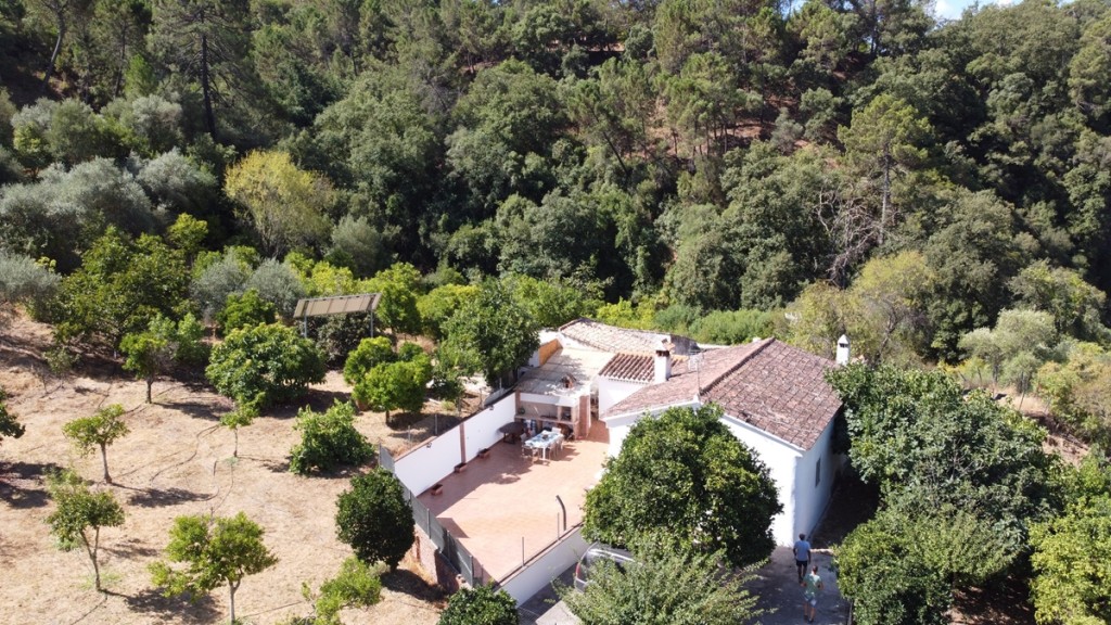 Imagen 2 de Casa de campo-Masía en Venta en Benastepal Málaga