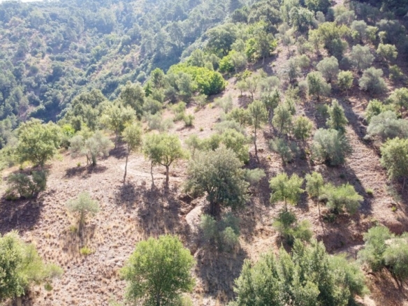 Imagen 3 de Casa de campo-Masía en Venta en Benastepal Málaga