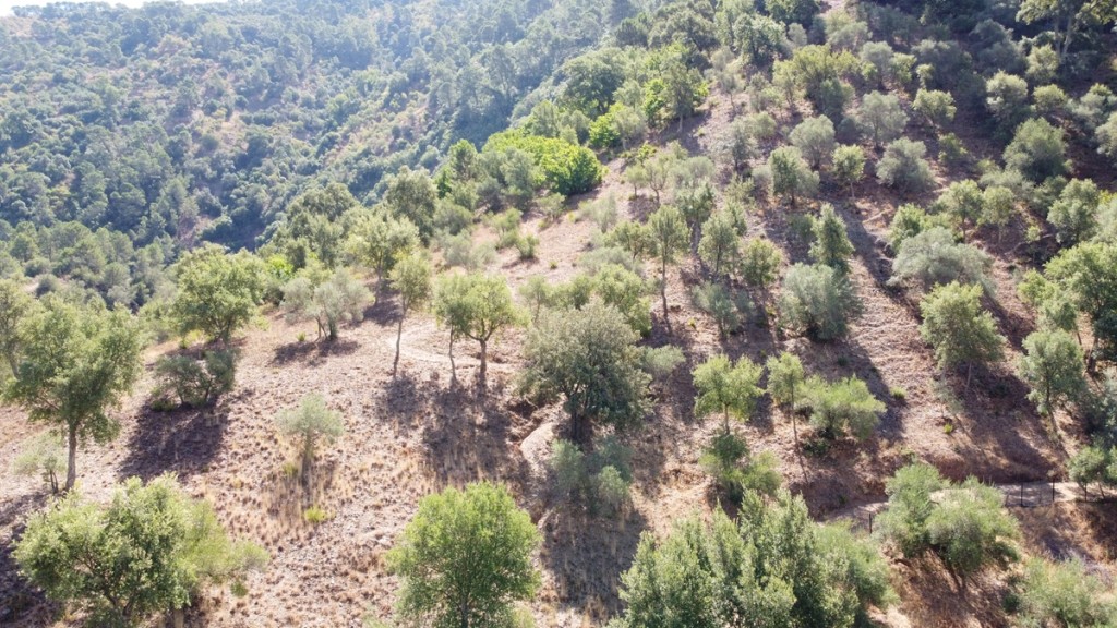 Imagen 3 de Casa de campo-Masía en Venta en Benastepal Málaga