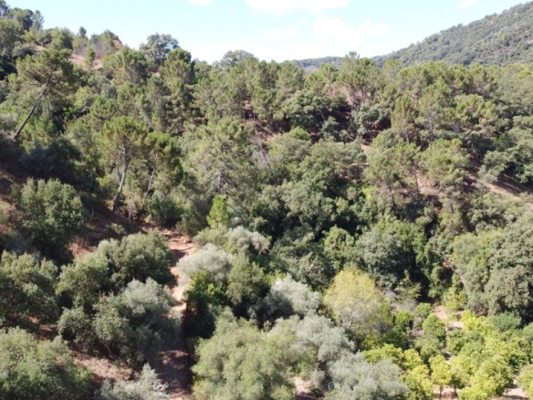 Imagen 4 de Casa de campo-Masía en Venta en Benastepal Málaga