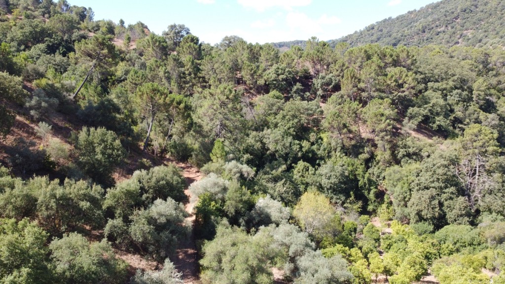 Imagen 4 de Casa de campo-Masía en Venta en Benastepal Málaga