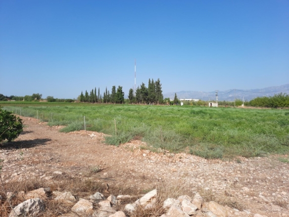 79 ha en Santa Bàrbara con pozo propio