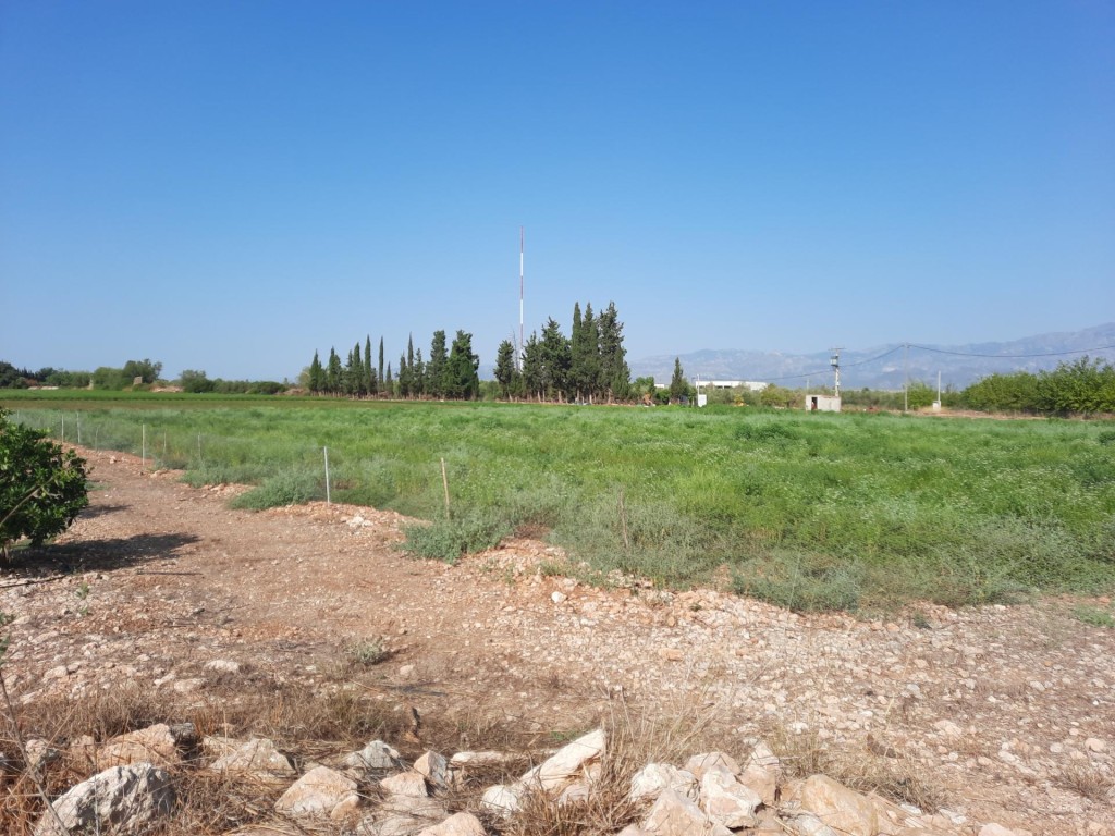 79 ha en Santa Bàrbara con pozo propio