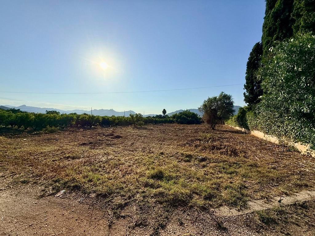 Imagen 2 de Parcela en Venta en Pedreguer Alicante